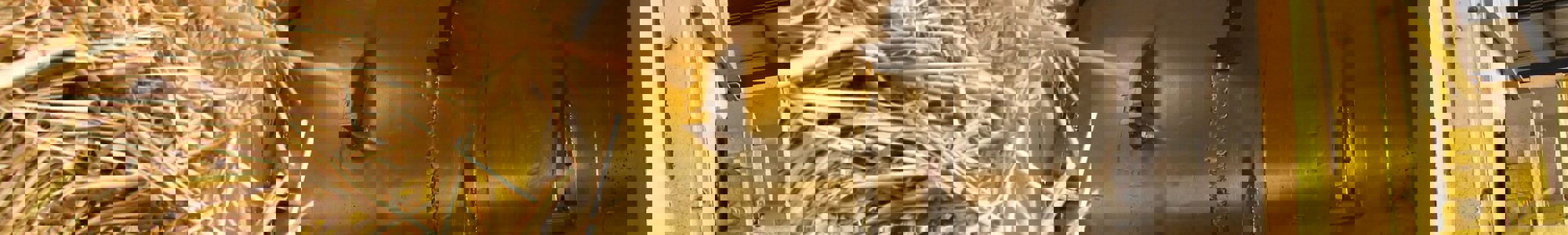 Drum To The Tearing Apart Of Straw From Straw Combustion In A Biomass Boiler